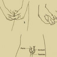 Homosexuality is Gay!