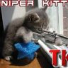 Sniper Kitty